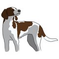 Amistad 7 x 20 in. Super Cute Dog Decal - Treeing Walker Coonhound AM2073626